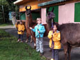 Les enfants avec les lamas