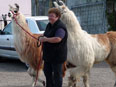 Renée Raigneau-Combesco avec ses lamas