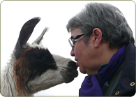 Renée Raigneau Combescot et un lama